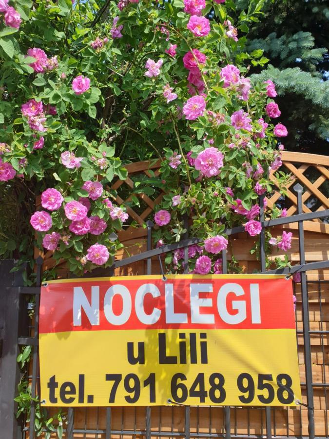 Noclegi U Lili Czluchow Luaran gambar